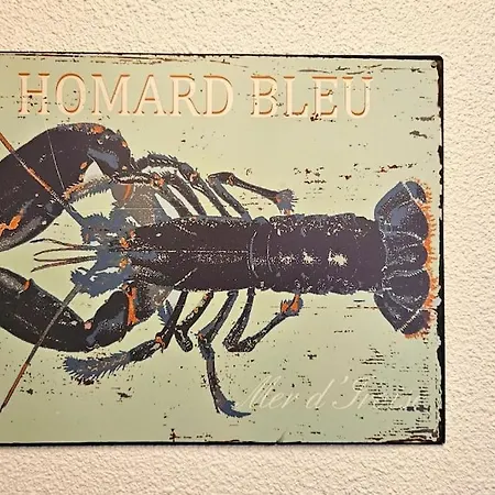 L’éclat Maritime ! T2 / Clim / Piscine / Vue * Sète