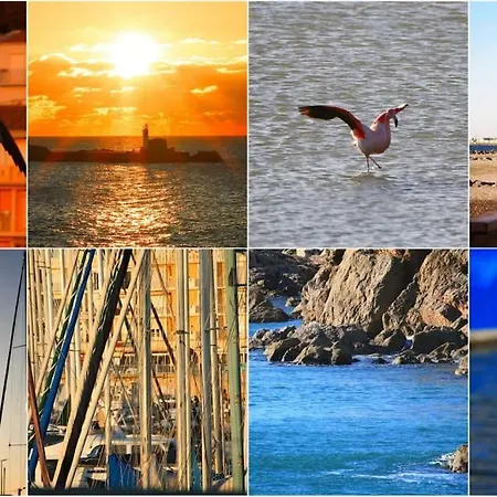 L'eclat Maritime ! T2 / Clim / Piscine / Vue Daire Sète